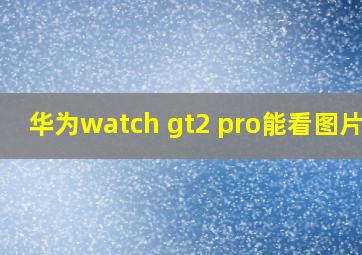 华为watch gt2 pro能看图片吗